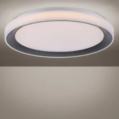 Plafonnier Ls-Disc I -EGLO || BRILLIANT || Trio Soldes Boutique 1000219659 200724 10145000201 DETAILS P000000001000219659